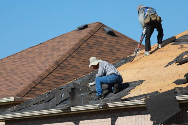 Best Solar Panel Roofing Installation  in Jessup, MD